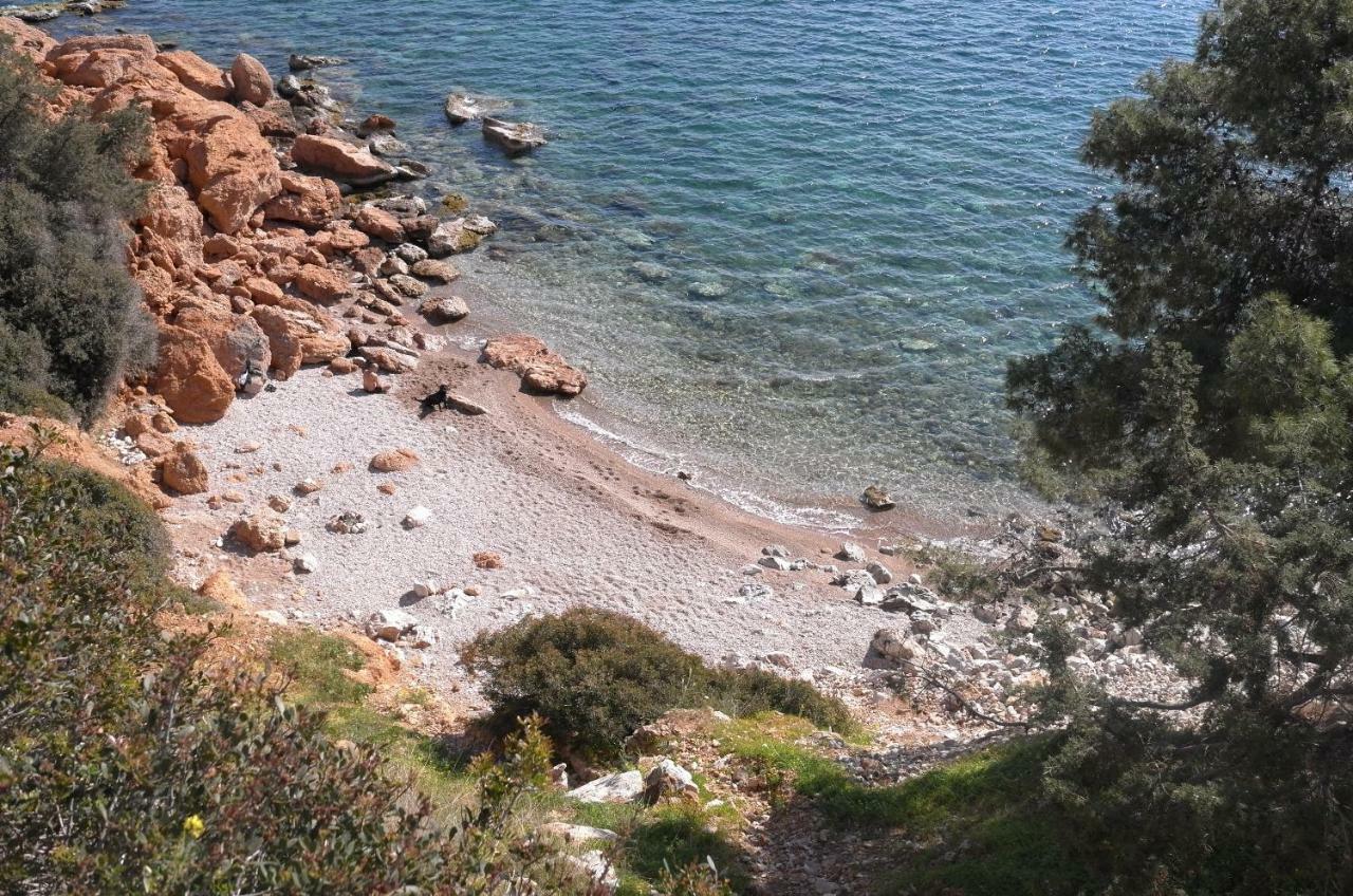 Starapartment Athens-Varkiza Top 2 Eksteriør bilde